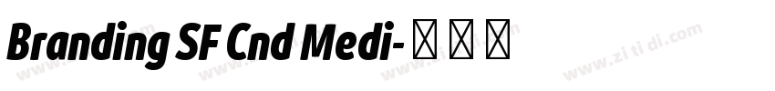 Branding SF Cnd Medi字体转换